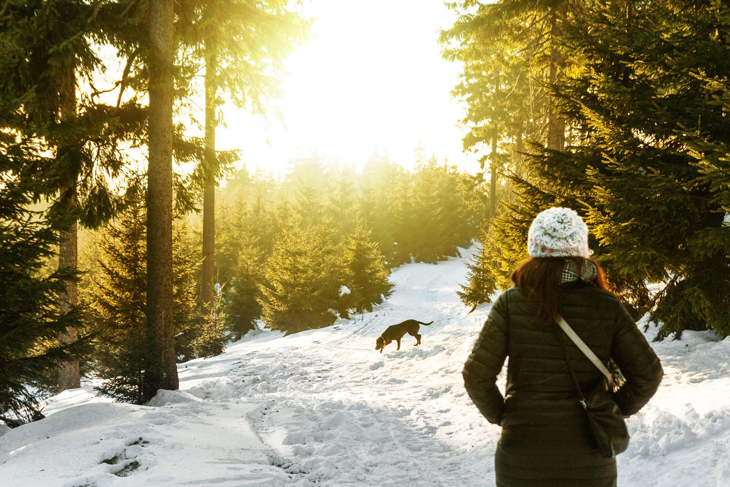 Girl bundled up walking her dog down a snowy path in the woods.